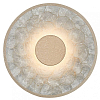 Накладной светильник Favourite Solarius 4858-1W 100_100_3098536